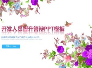 开发人员晋升答辩ppt模板