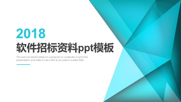 软件招标资料ppt模板