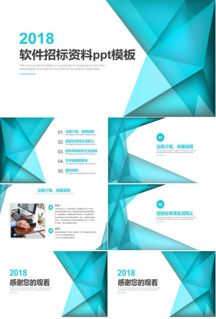 软件招标资料ppt模板