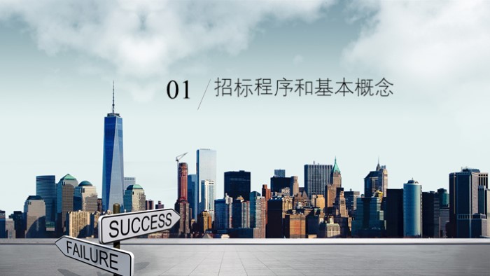 药品招标数据ppt模板