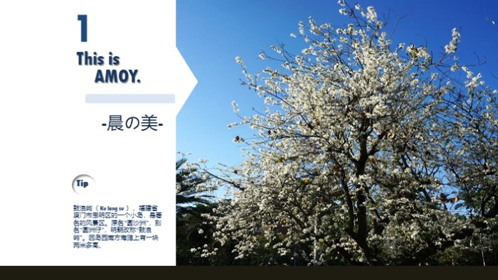 文明旅游主题班会ppt模板