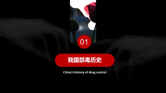 禁毒法制教育ppt模板