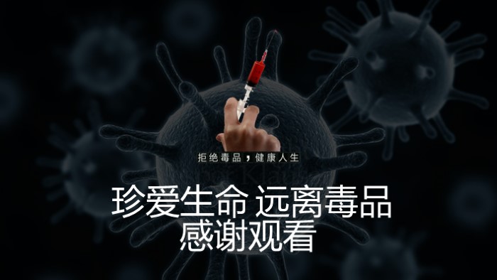 小学禁毒教育班队课ppt模板