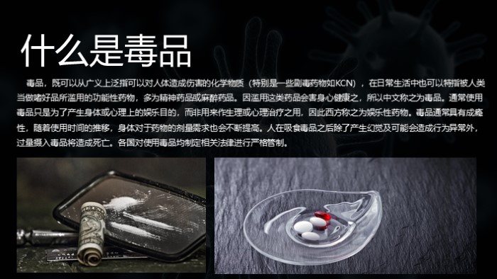 小学禁毒教育班队课ppt模板