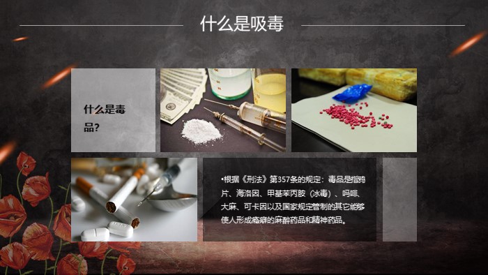 教师禁毒教育课件ppt模板