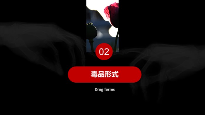 禁毒法制教育ppt模板