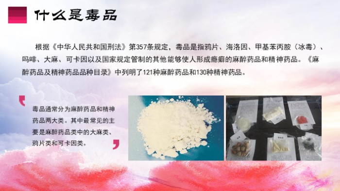 禁毒教育主体ppt模板