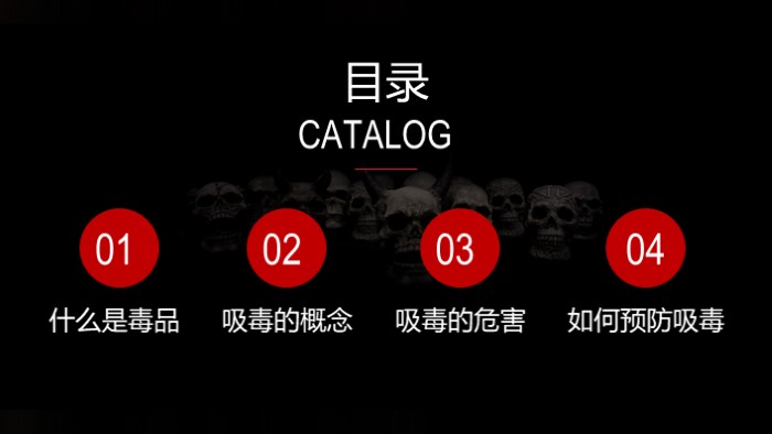 小学禁毒教育班队课ppt模板