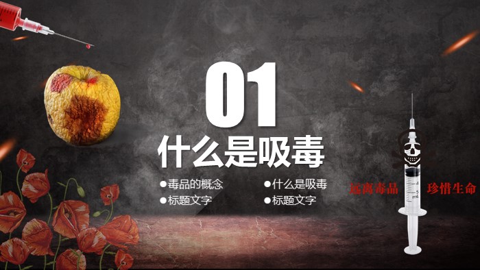 教师禁毒教育课件ppt模板