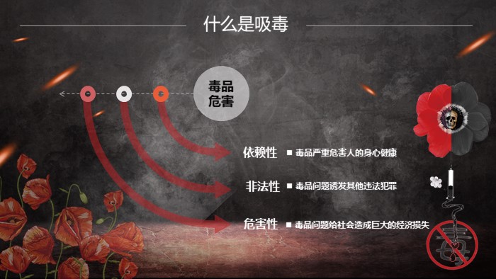 教师禁毒教育课件ppt模板