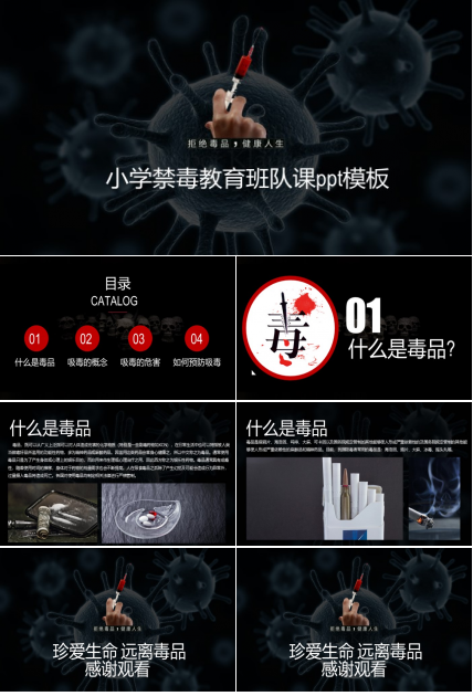 小学禁毒教育班队课ppt模板