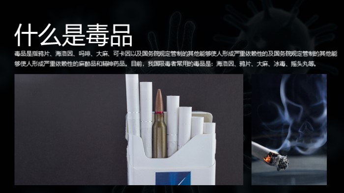 小学禁毒教育班队课ppt模板