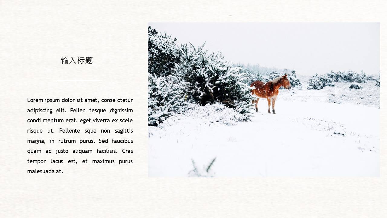 英文冬季工作汇报通用ppt模板