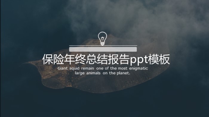 保险年终总结报告ppt模板