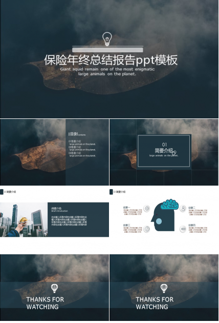 保险年终总结报告ppt模板