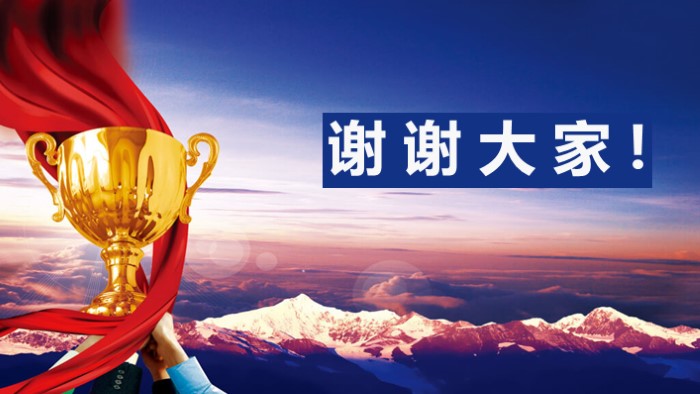 项目经验介绍ppt模板