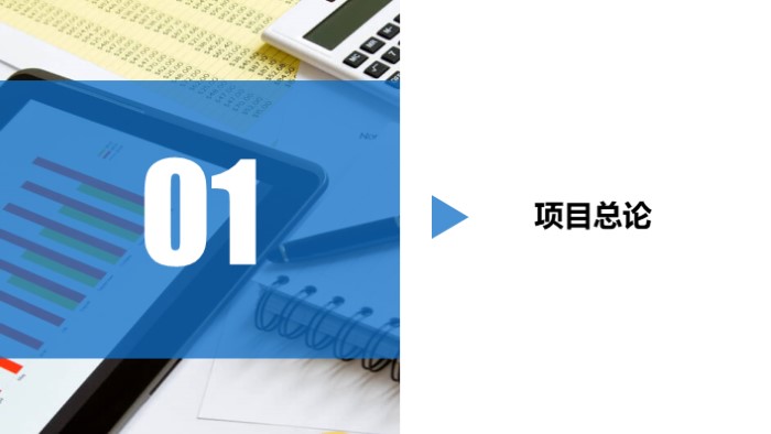 项目经验介绍ppt模板