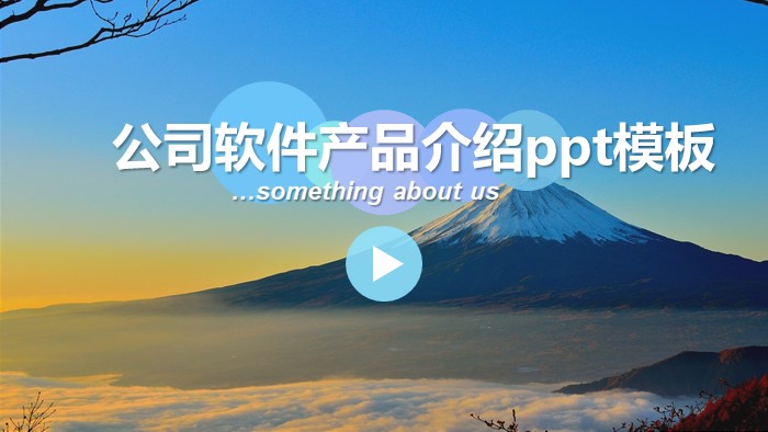 公司软件产品介绍ppt模板