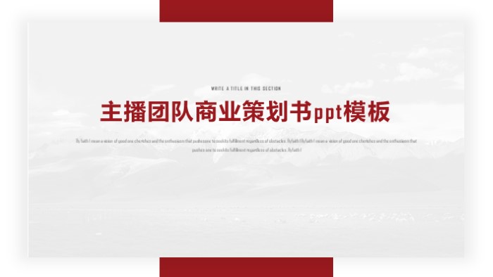 主播团队商业策划书ppt模板