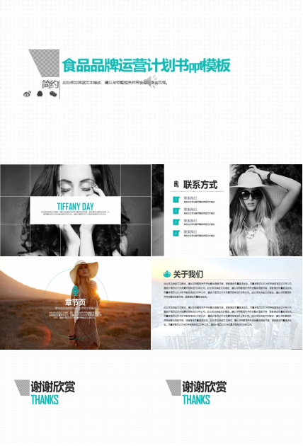 食品品牌运营计划书ppt模板