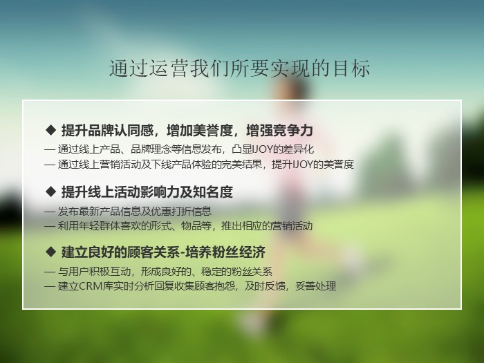 网店品牌运营计划ppt模板