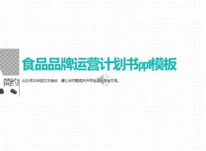 食品品牌运营计划书ppt模板