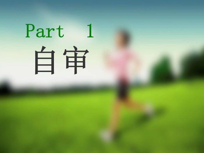 网店品牌运营计划ppt模板