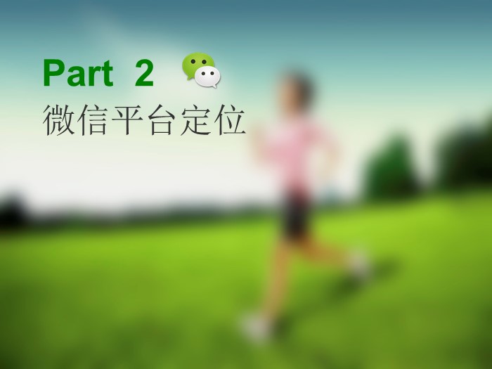 网店品牌运营计划ppt模板