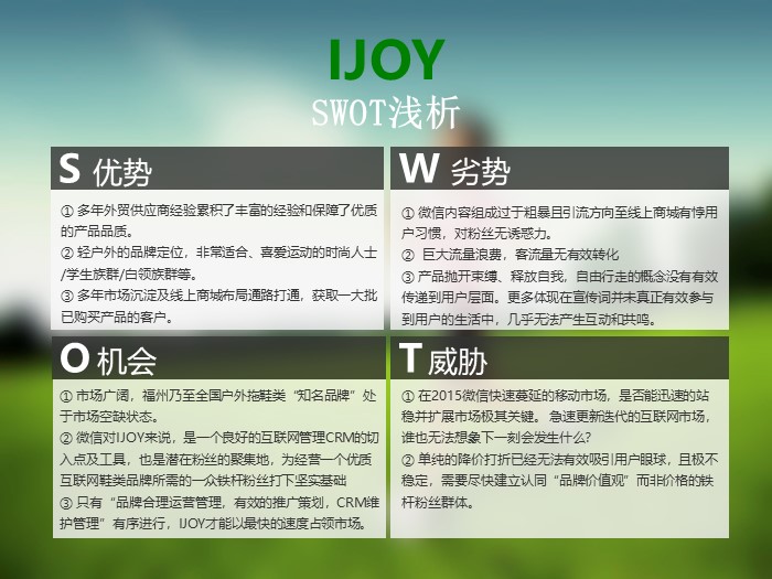 网店品牌运营计划ppt模板