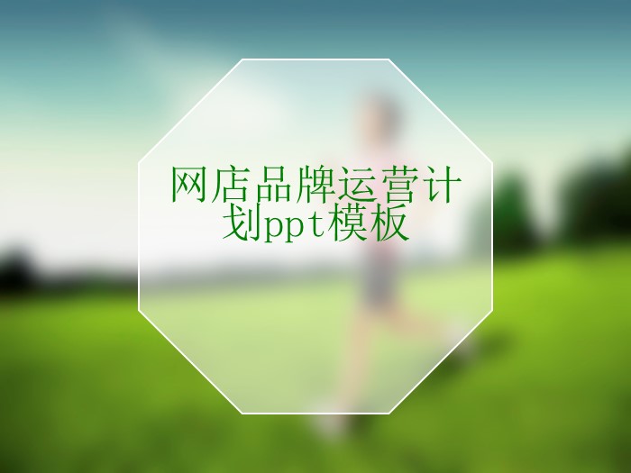 网店品牌运营计划ppt模板