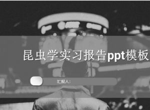 昆虫学实习报告ppt模板