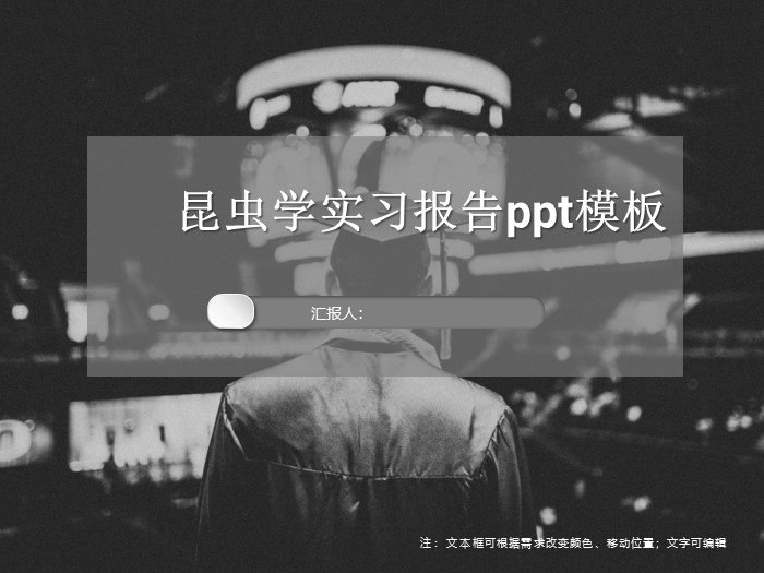 昆虫学实习报告ppt模板