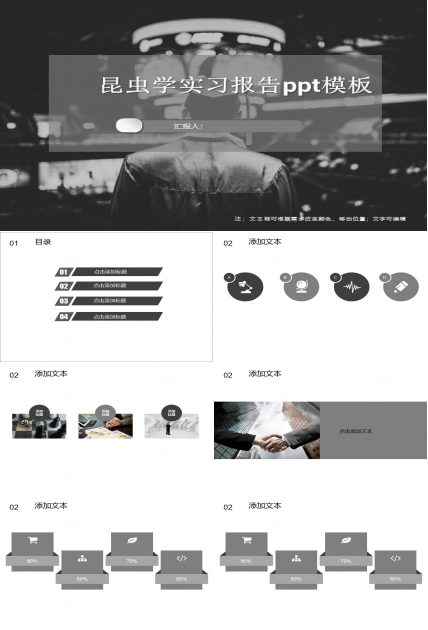 昆虫学实习报告ppt模板