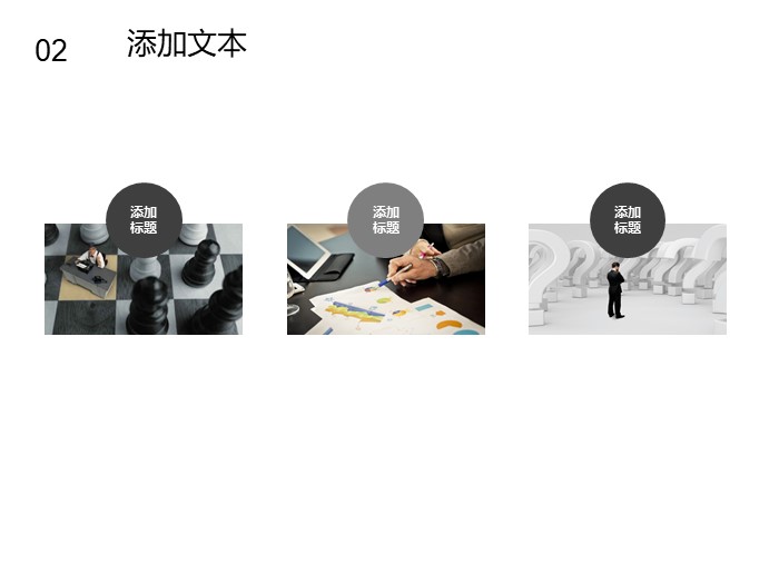 昆虫学实习报告ppt模板