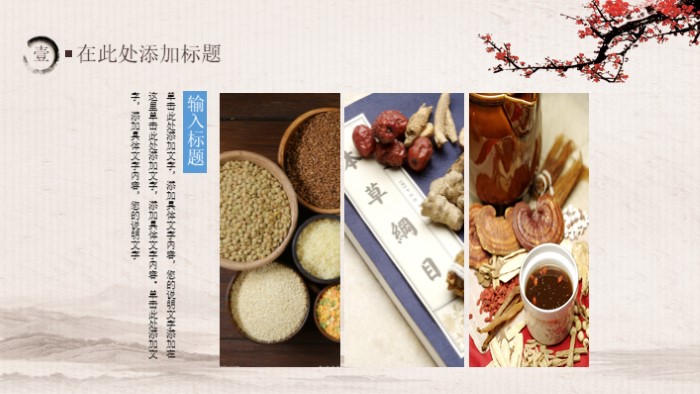 中医药保健ppt模板