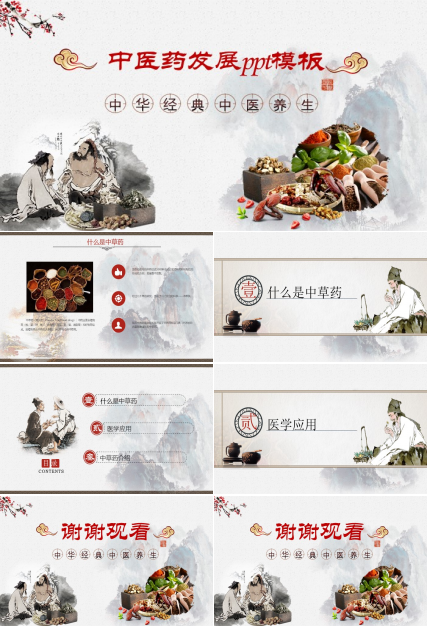 中医药发展ppt模板