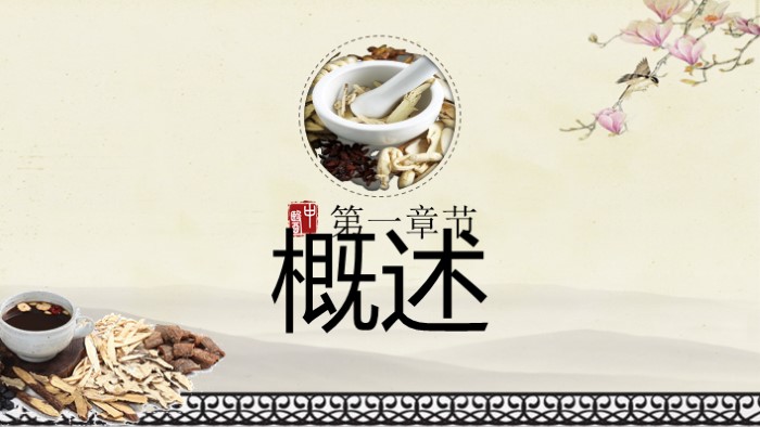 老年人中医养生ppt模板