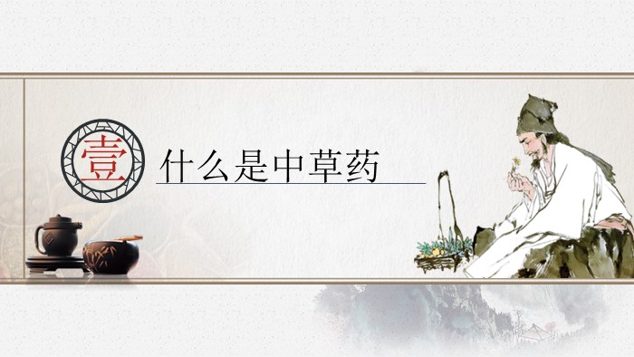 中医药发展ppt模板