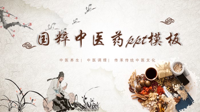 国粹中医药ppt模板