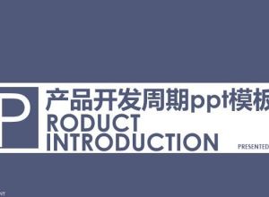 产品开发周期ppt模板