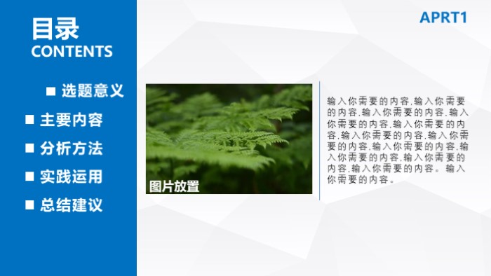 个人学术道德ppt模板