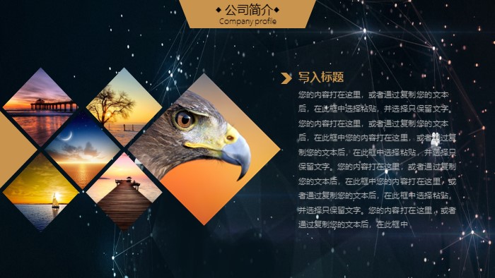 电商开店ppt模板