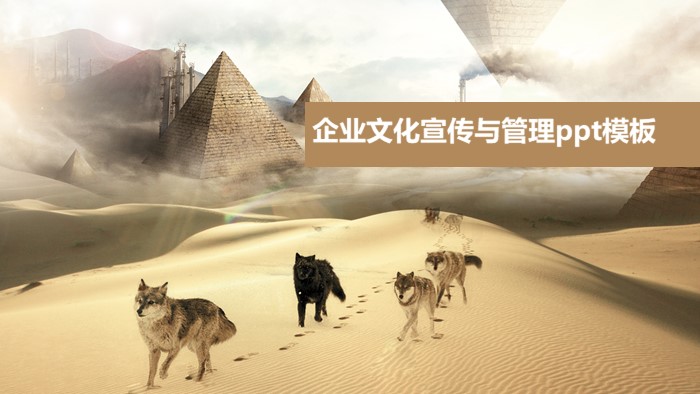 企业文化宣传与管理ppt模板