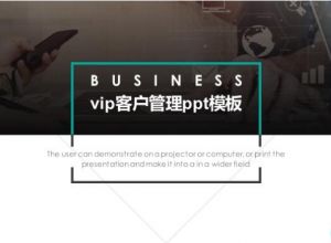 vip客户管理ppt模板