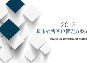 超市销售客户管理方案ppt模板