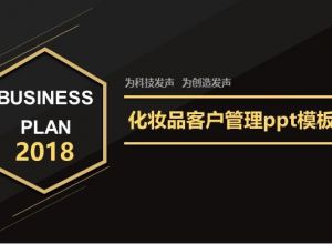 化妆品客户管理ppt模板