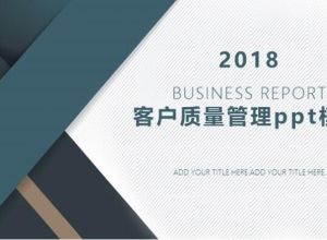 客户质量管理ppt模板