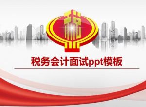 税务会计面试ppt模板