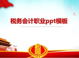 税务会计职业ppt模板