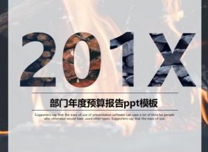 部门年度预算报告ppt模板